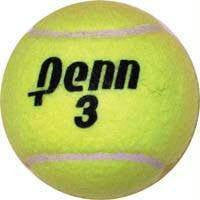 Penn Championship Tennis Game Balls | PE Equipment & Games | Gear Up Sports