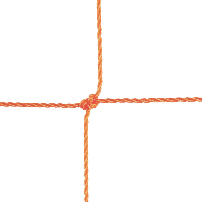 200OR-alt1-XL2x__27105.1722617962.jpg