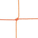 200OR-alt1-XL2x__27105.1722617962.jpg