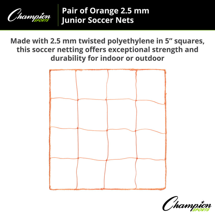 200OR-enhanced1-XL2x__12415.1722617963.jpg
