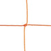 201OR-alt1-XL2x__15432.1722618982.jpg