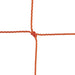 204OR-alt1-XL2x__21199.1722618877.jpg