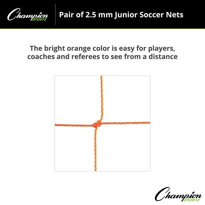 204OR-enhanced2-XL2x__09122.1720723950.jpg