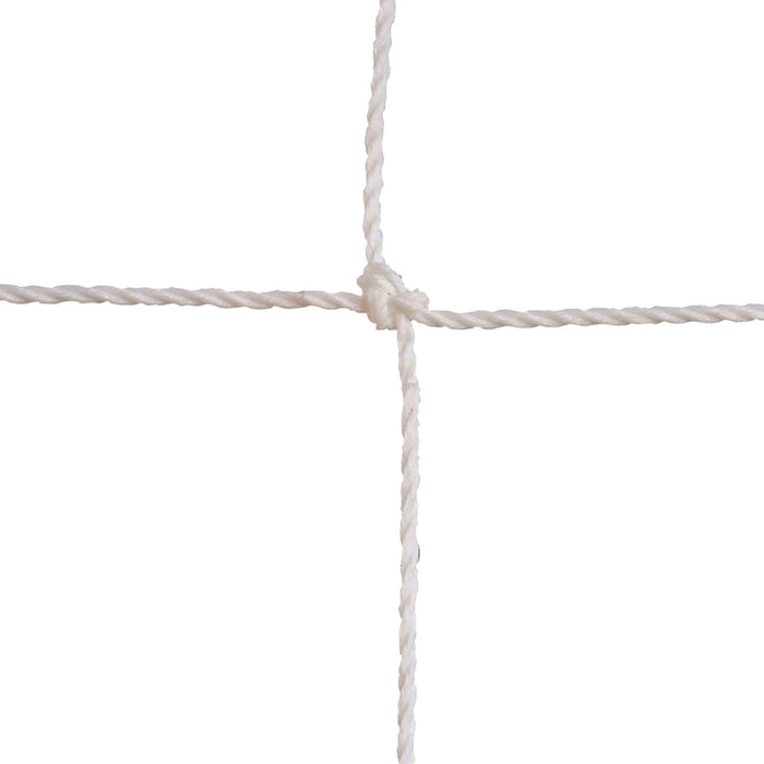 204WH-alt1-XL2x__60410.1720723950.jpg
