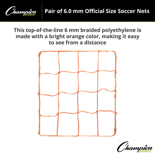 206OR-enhanced2-XL2x__17661.1722619299.jpg