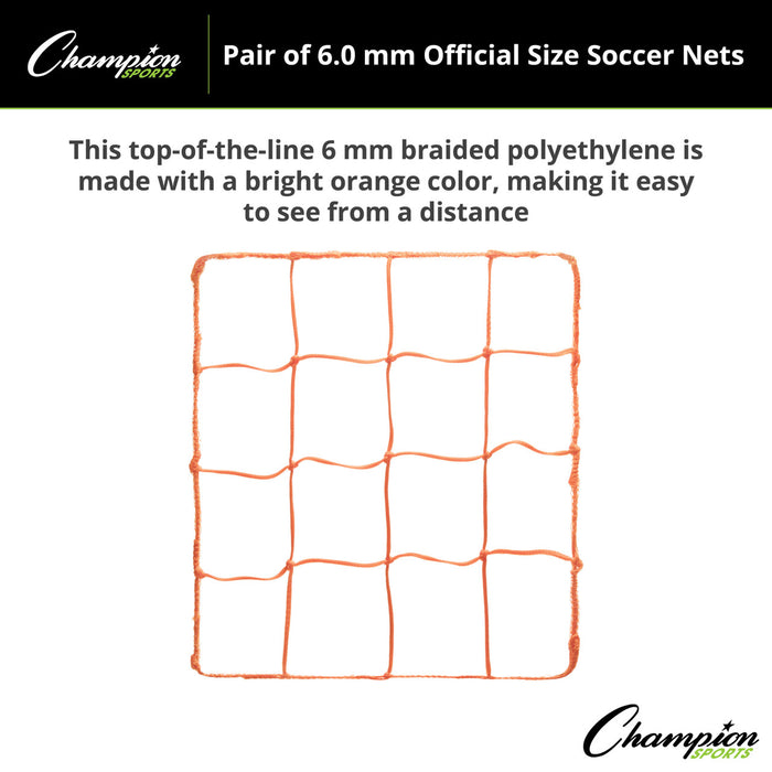 206OR-enhanced2-XL2x__17661.1722619299.jpg