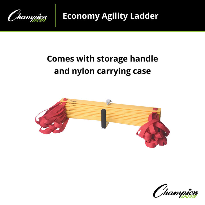 20'L x 20"W Economy Agility Ladder