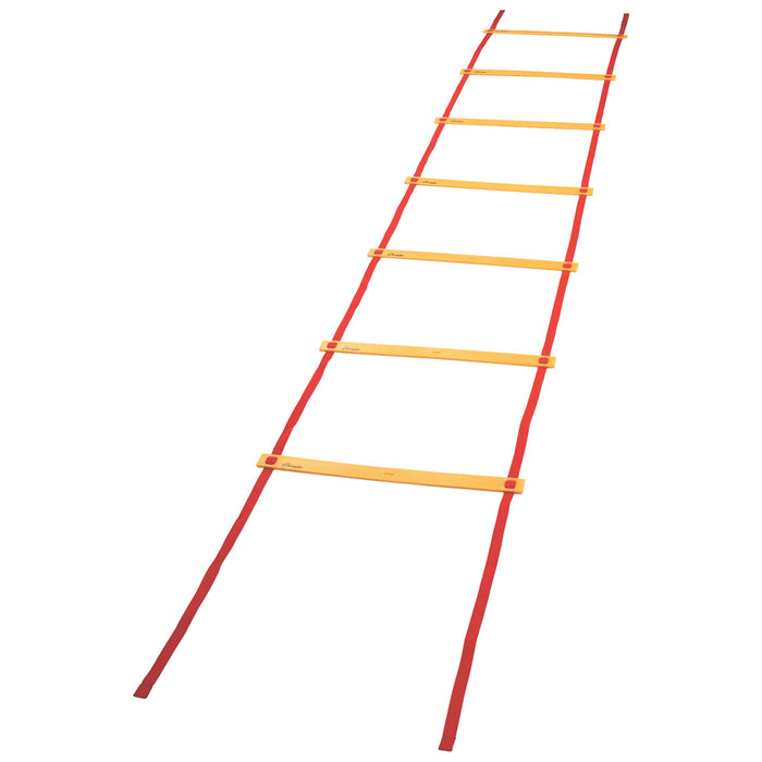 20'L x 20"W Economy Agility Ladder