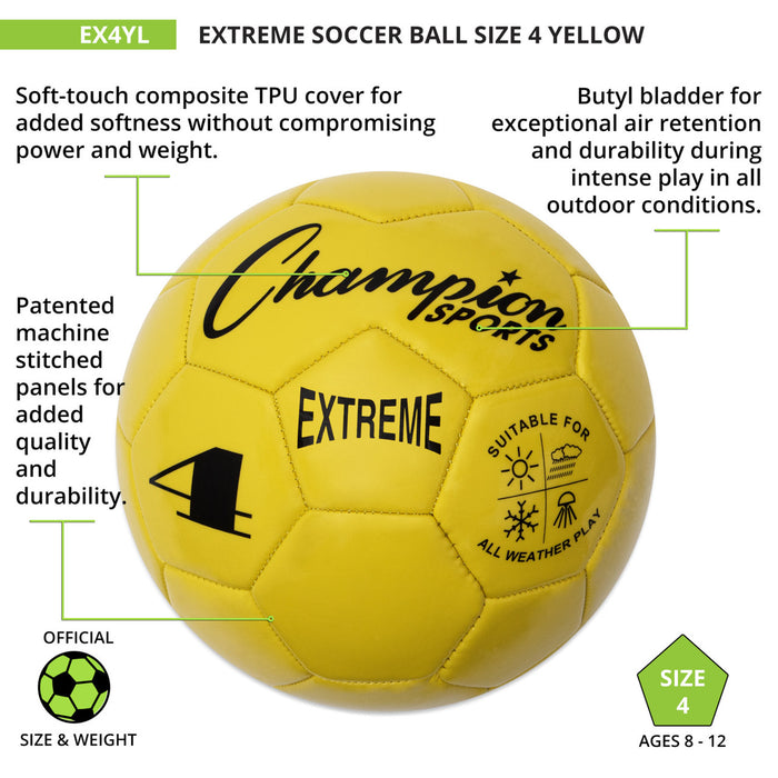 EX4YL-enhanced2-XL__48385.1722454051.jpg