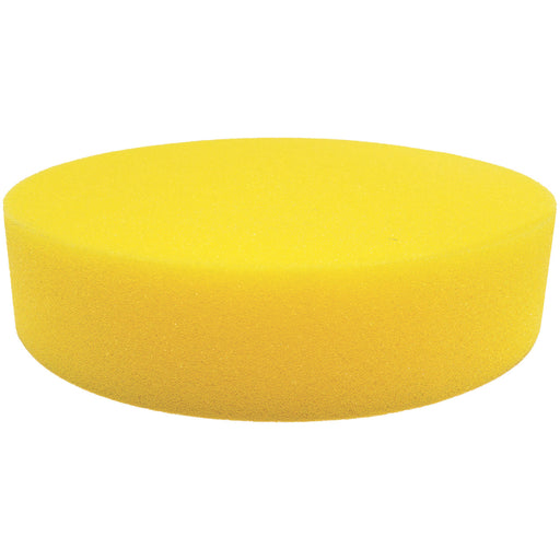 FD1-main-XL2x__52165.1724705456.jpg
