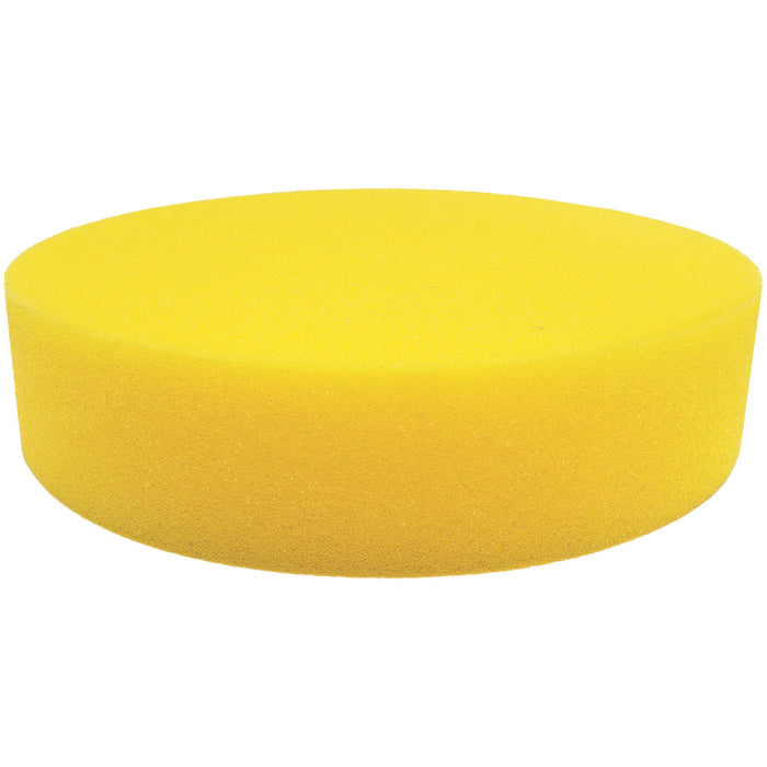FD1-main-XL2x__52165.1724705456.jpg