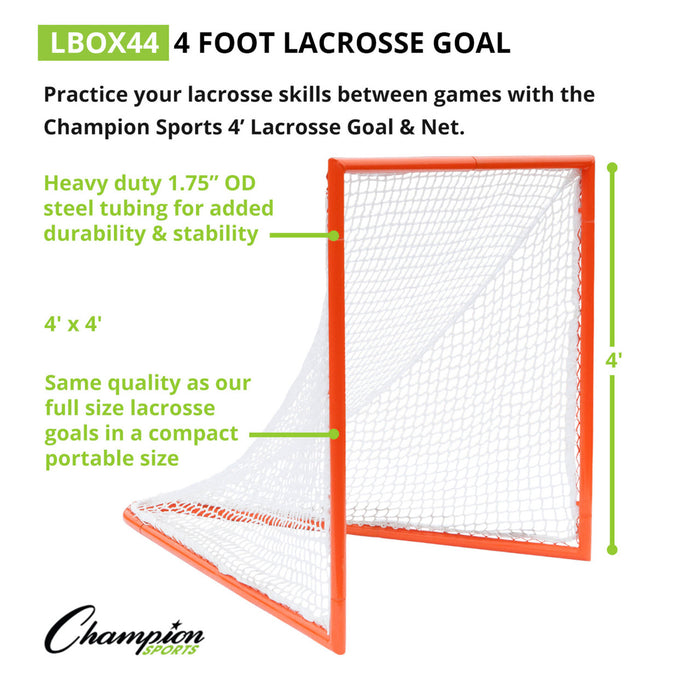 LBOX44-enhanced1-XL__37329.1723739319.jpg