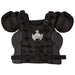 P210-alt2-XL2x__76795.1721923353.jpg
