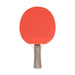 PN1-AMAZON-a-single-red-XL__14434.1751916778.jpg