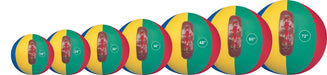 RCB18__RCB-BLADDERS__61066.1723833559.jpg