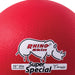 RS101-alt1-XL2x__39792.1724858022.jpg