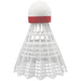 SHN20-alt2-XL__49825.1725981554.jpg