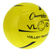 VL10-alt1-XL__75120.1723815377.jpg