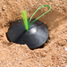 WAP-Lifestyle-3__49733.1722009937.png