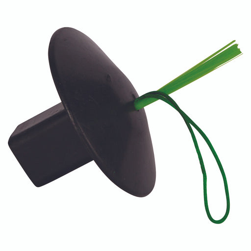 WAP-main__69245.1722009934.jpg