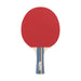 pn9-b-single-red_l__09348.1689272392.jpg