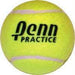 Penn Practice Tennis Balls | PE Equipment & Games | Gear Up Sports