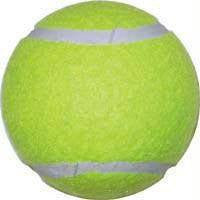 Economy Practice Tennis Ball (Case of 120) | PE Equipment & Games | Gear Up Sports